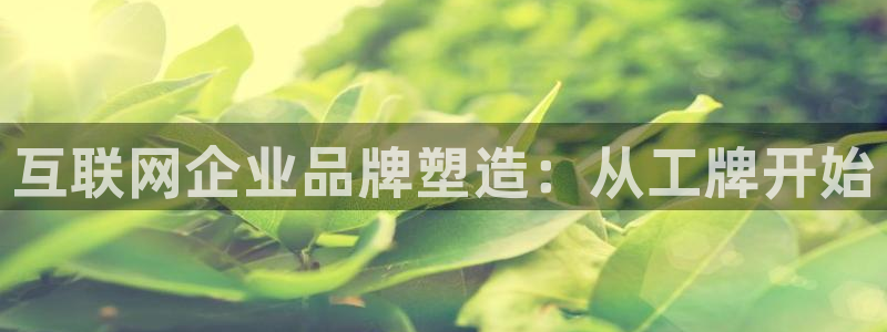 辉达娱乐电子