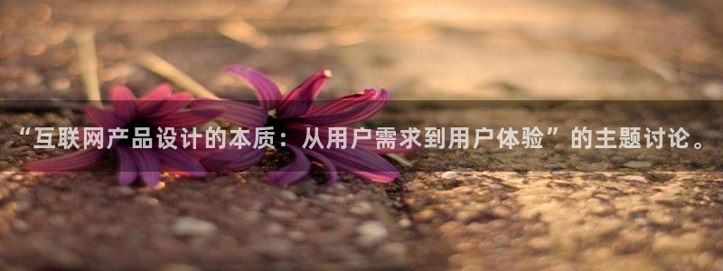 辉达娱乐属于什么档次
