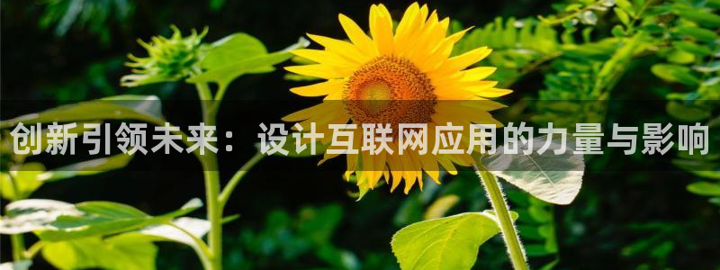 专业辉达娱乐在线游戏