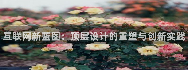 辉达娱乐检测