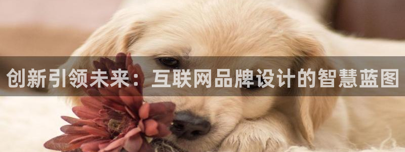 菲律宾辉达娱乐