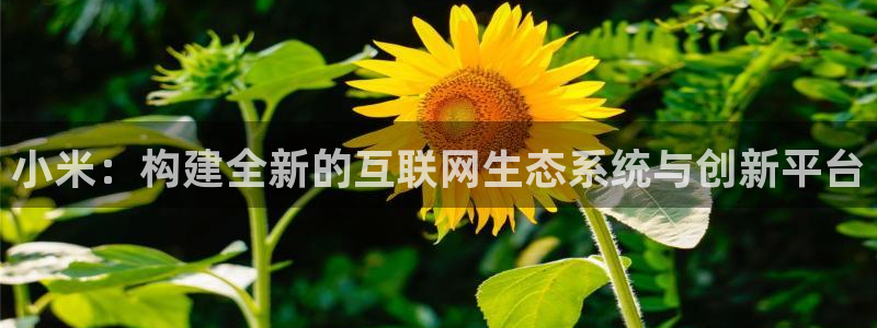 信誉辉达娱乐官方网址