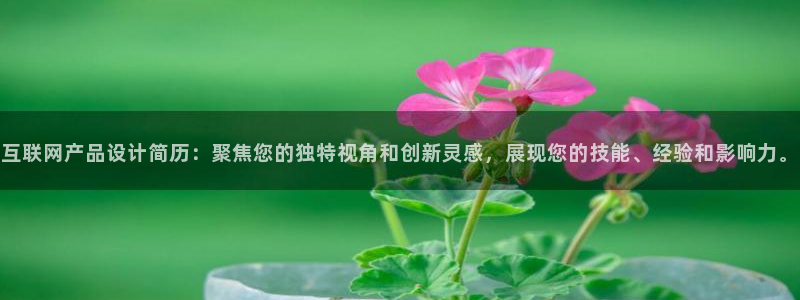 辉达娱乐招商