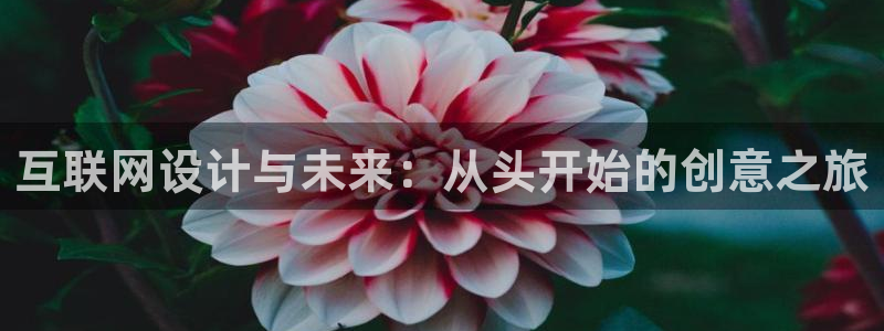 专业辉达娱乐平台