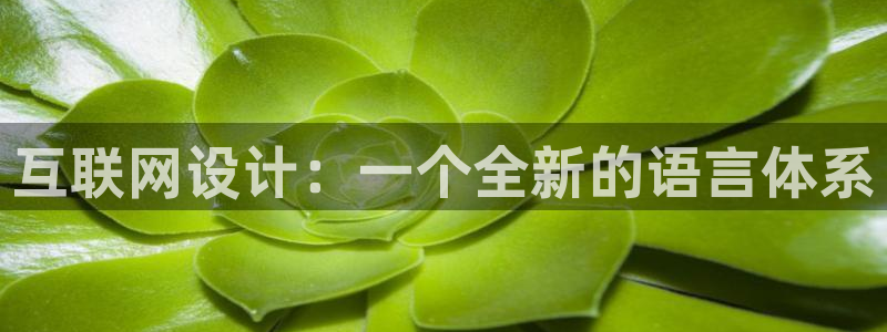 代理辉达娱乐官方网址