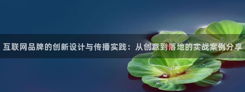 辉达娱乐重庆时时彩