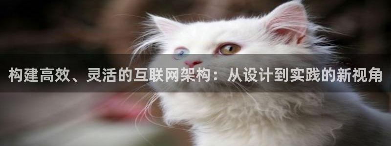 辉达娱乐新疆时时彩