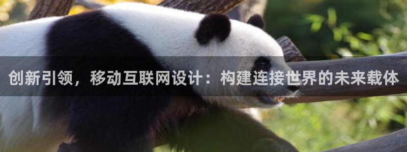 辉达娱乐体育竞猜