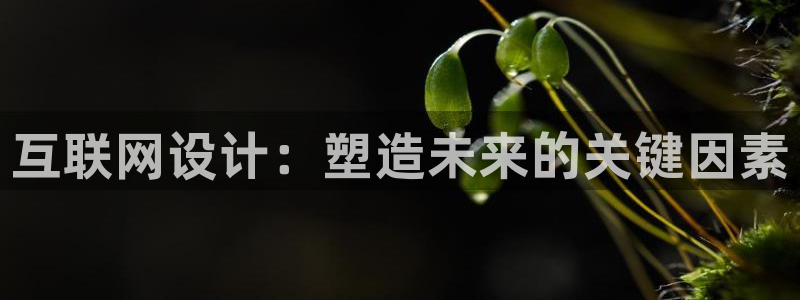 辉达娱乐最新现状