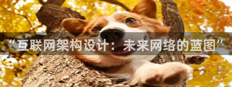 辉达娱乐游戏.直开.中国