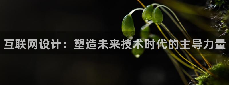 信誉辉达娱乐：互联网设计：塑造
