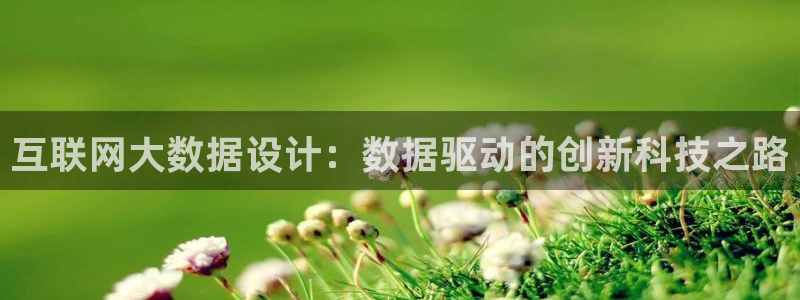 辉达平台注册流程：互联网大数据