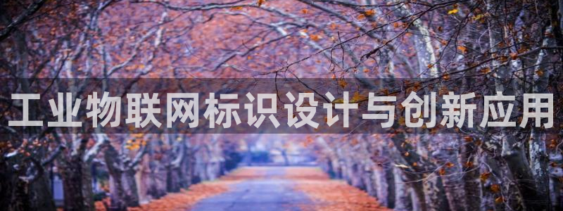 辉达娱乐app：工业物联网标识