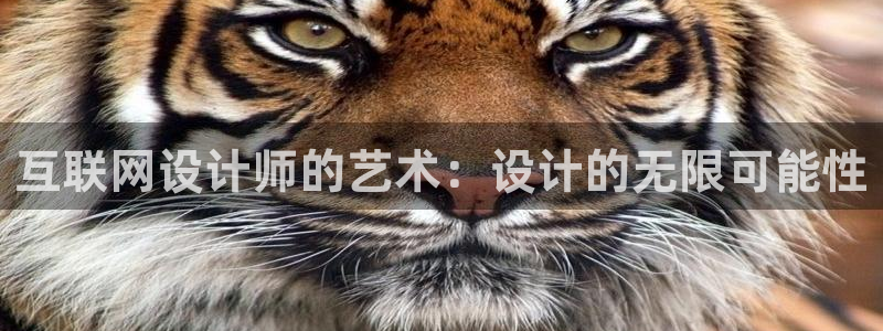 辉达娱乐排列三