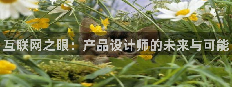 辉达娱乐可靠