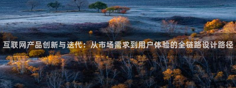 达利娱乐王辉
