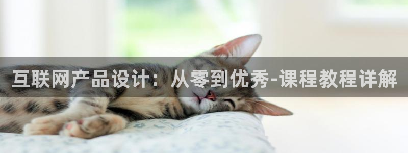 辉达娱乐最新版本更新内容