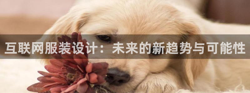 专业辉达娱乐官方网址