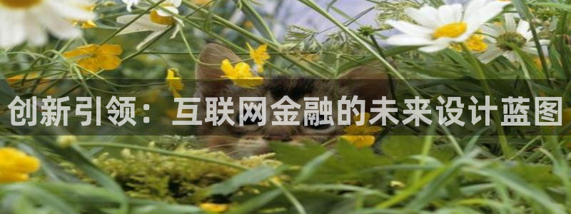 辉达娱乐可靠