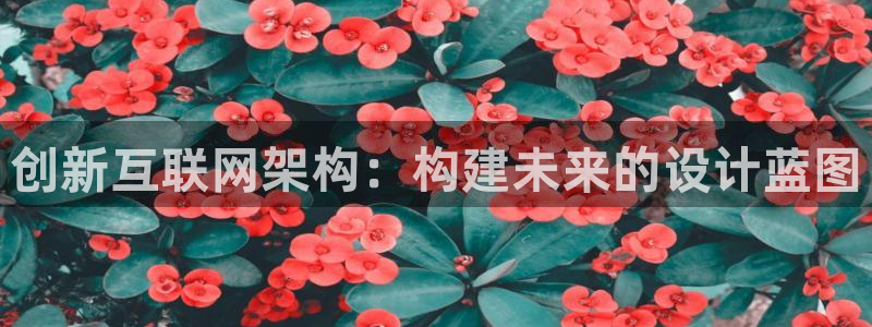 辉达娱乐五75505