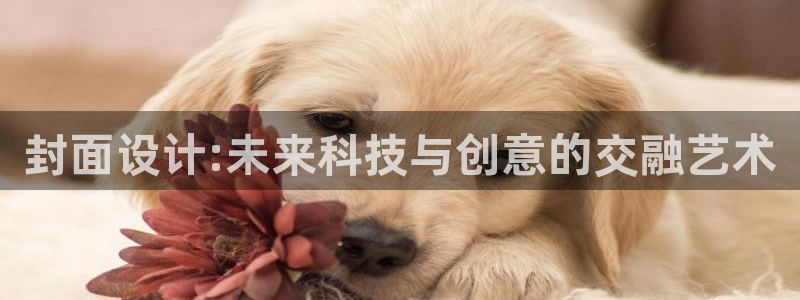 辉达娱乐游戏.直开.中国