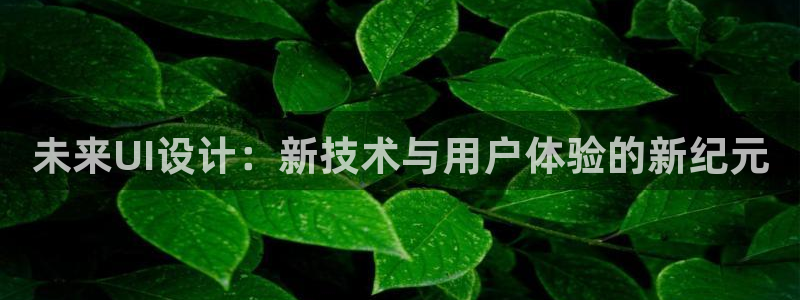 辉达娱乐123123