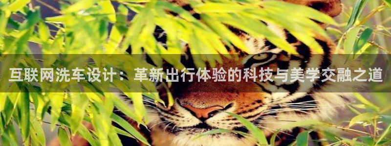 辉达怎么样