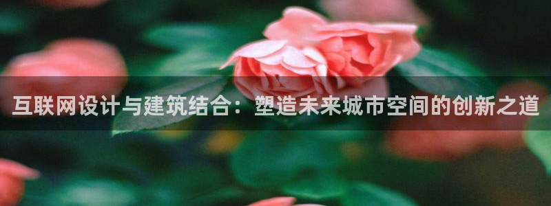 辉达娱乐时时彩平台
