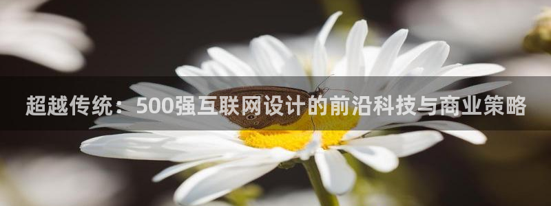 辉达娱乐官网