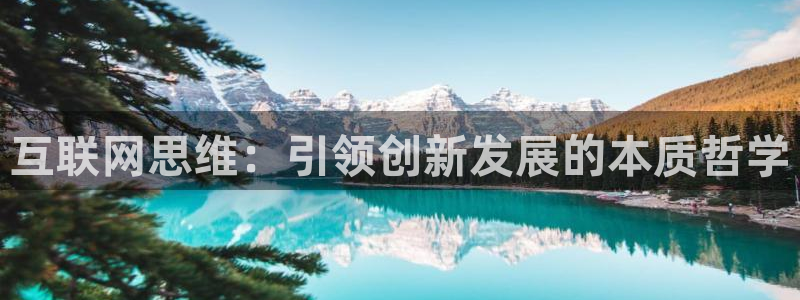 辉达平台娱乐怎么样