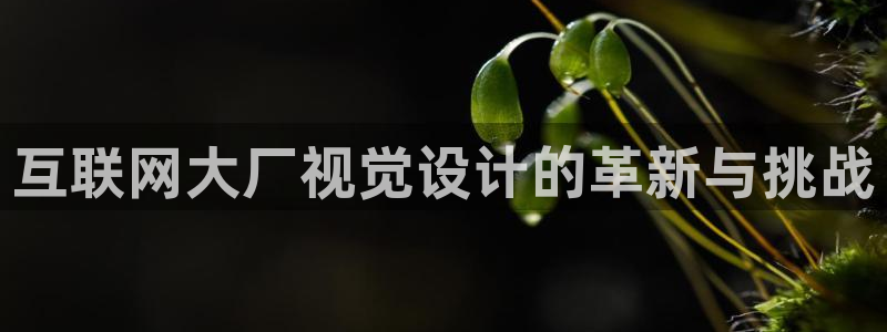 正规辉达娱乐官方网址