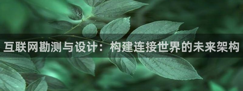 辉达怎么样