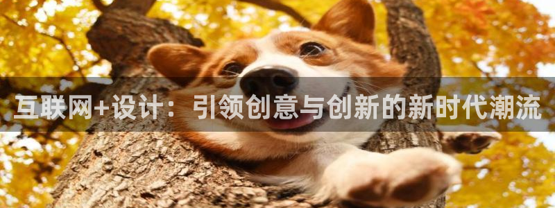 辉达娱乐app