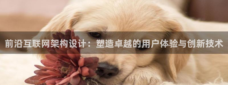辉达娱乐加扣75775