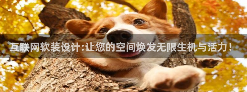 辉达娱乐丿75505