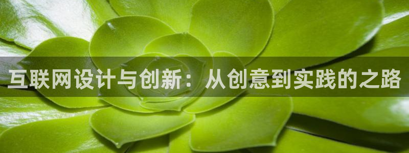 代理辉达娱乐