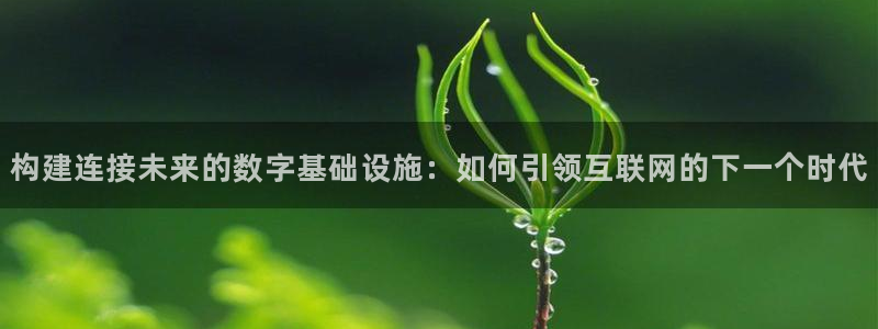 辉达平台官网首页