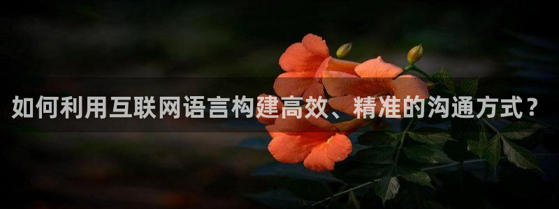 辉达平台官网电话