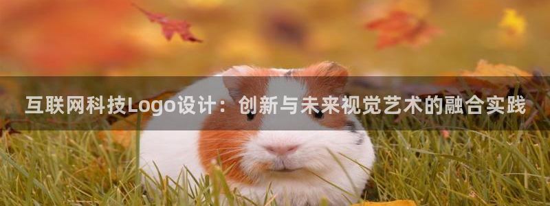 辉达娱乐加扣75775