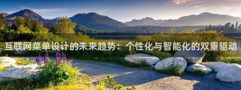 辉达娱乐属于什么档次