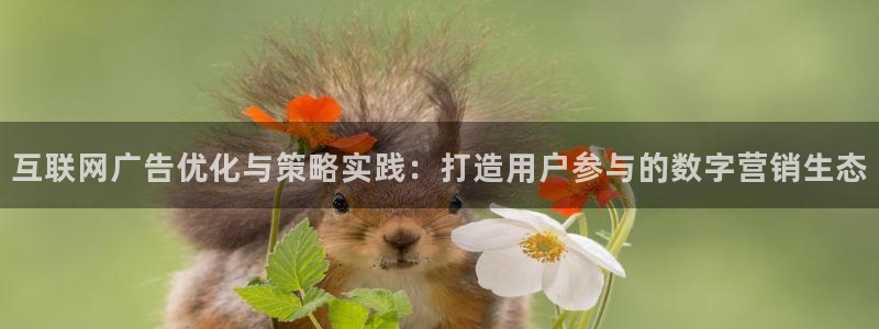 辉达娱乐丶75505