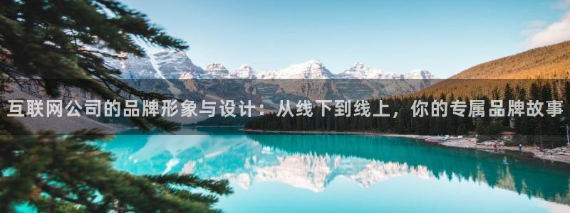 辉达娱乐公司