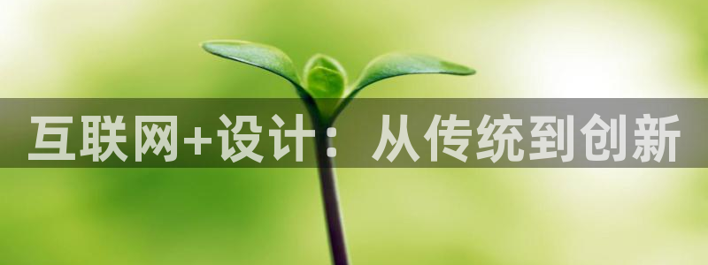 辉达娱乐