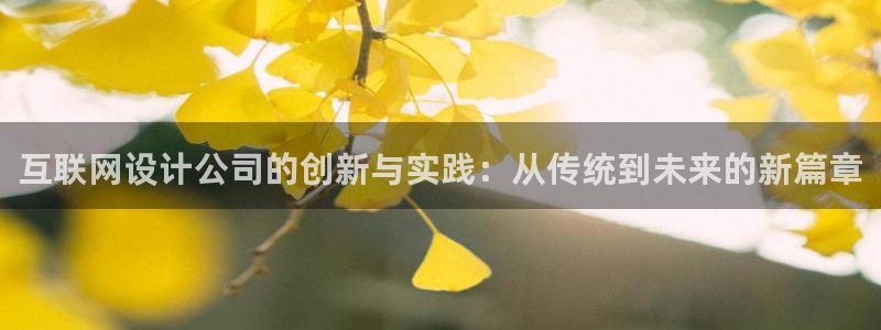 辉达娱乐总部