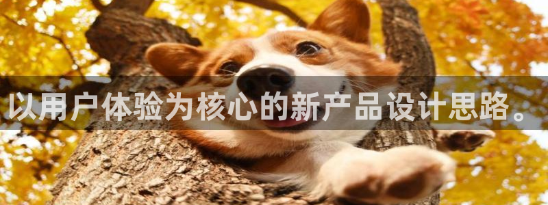 辉达娱乐可靠
