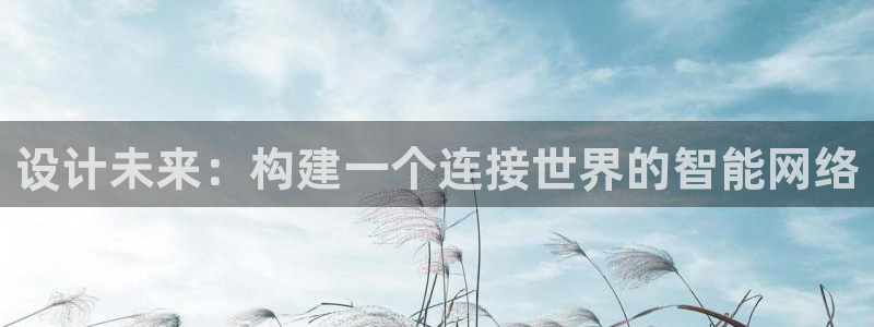 辉达娱乐