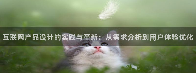 信誉辉达娱乐官方网址：互联网产