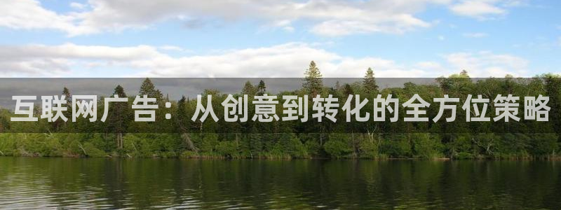 辉达娱乐公司：互联网广告：从创
