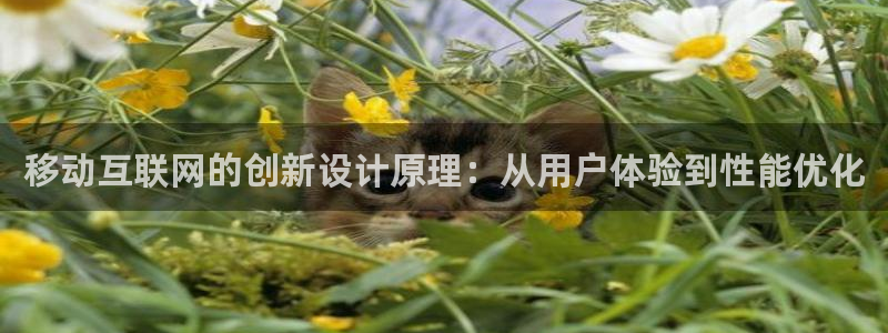 辉达娱乐总部：移动互联网的创新